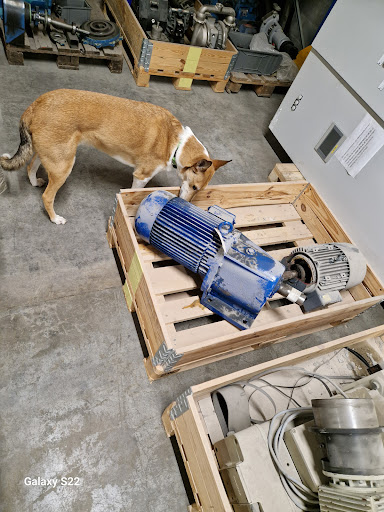 K9 Scent Hunters